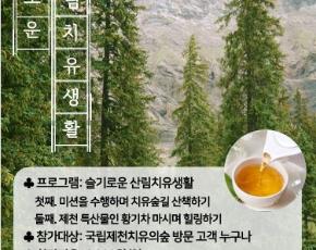 슬라이드이미지